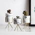 3pcs Ceramic Marbled Planters