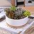 Minimalist White Ceramic Planter