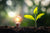 How lighting control saves electricity and reduces costs - ZenQ Designs