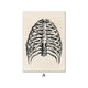 Human Anatomy Artwork Canvas Print