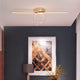 Luxury Modern LED Ceiling Light