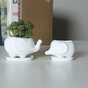 Elephant Ceramic Flower Pot with Tray - ZenQ Designs