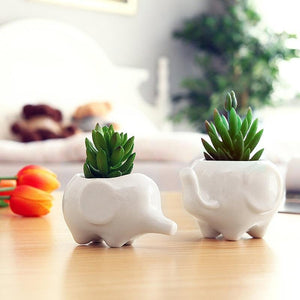 Elephant Ceramic Flower Pot with Tray - ZenQ Designs