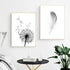 Minimalist Feather & Dandelion | Canvas