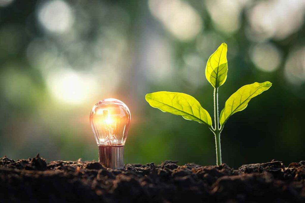 How lighting control saves electricity and reduces costs - ZenQ Designs