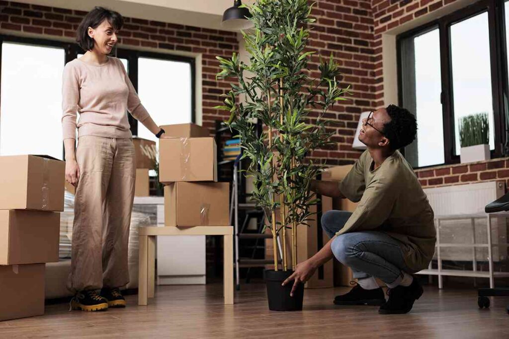 Learn how to pack lamps for moving - ZenQ Designs