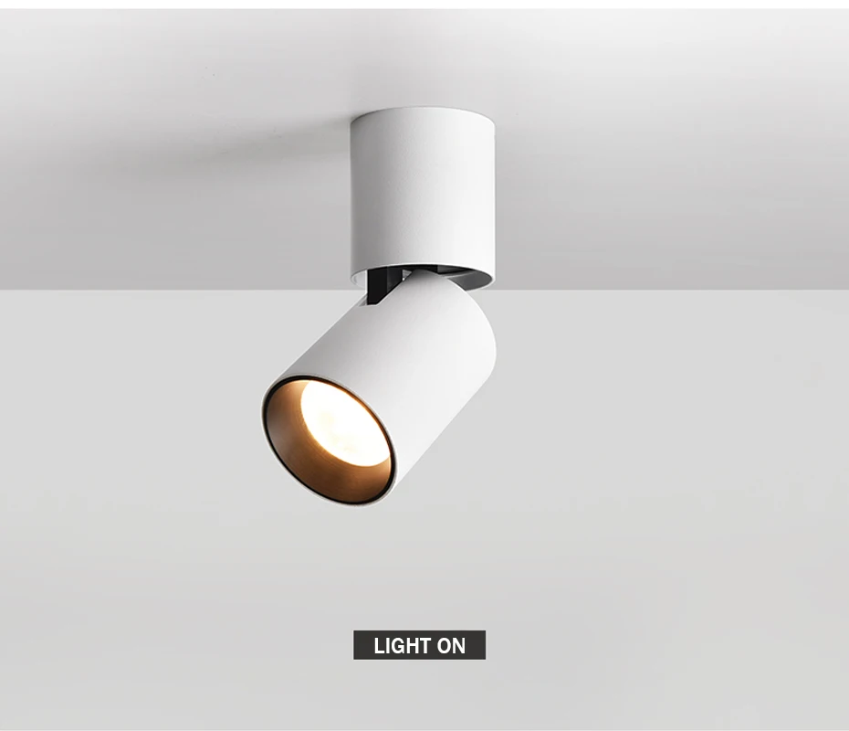 HTB1ZkMZMCzqK1RjSZFHq6z3CpXaV - Adjustable Round Surface Mounted Downlight