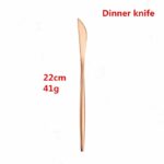 14:193#dinner knife1pc
