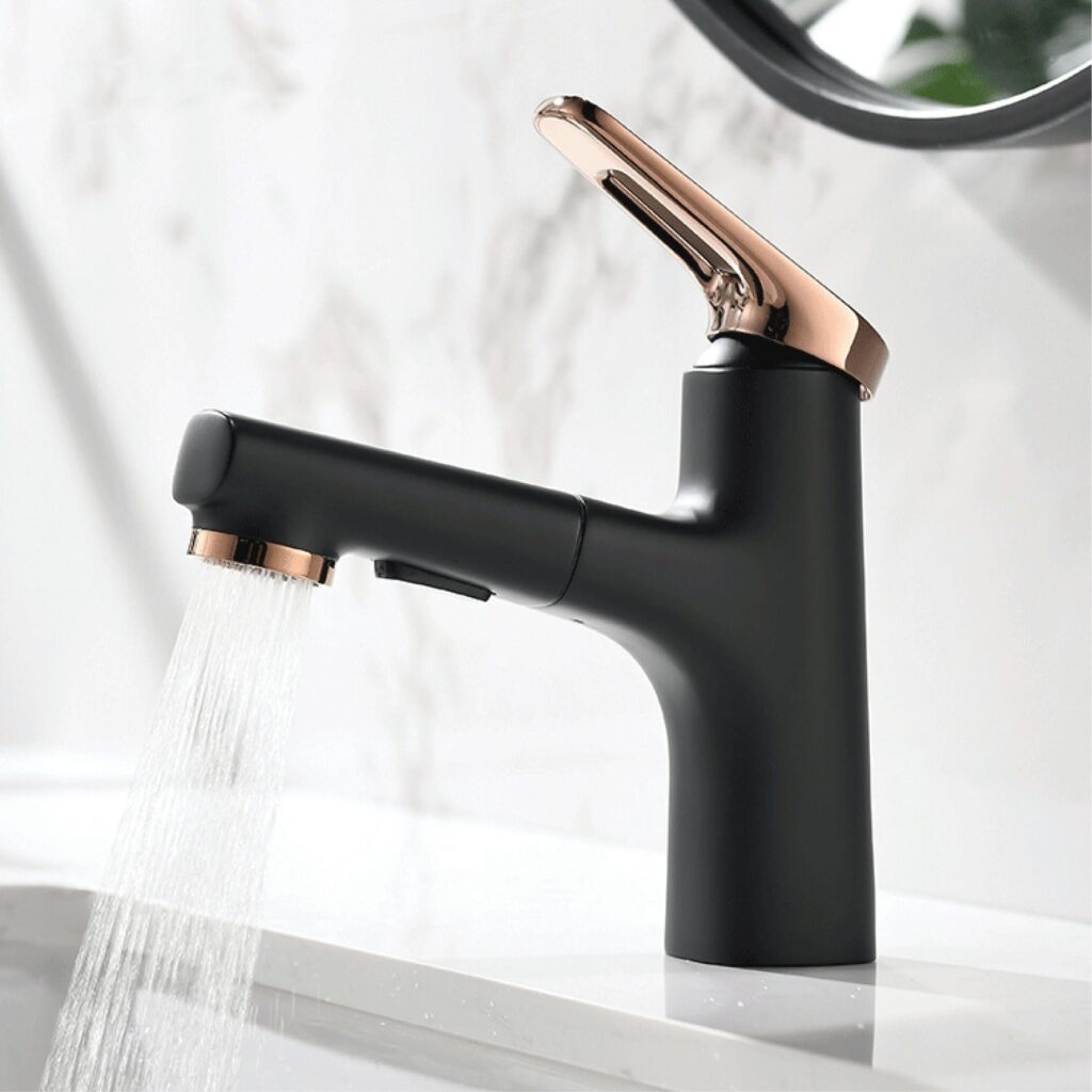 Bathroom Faucet dual function