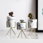3pcs Ceramic Marbled Planters - ZenQ Designs