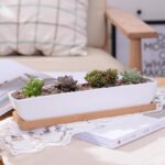 Tucor | Set - ZenQ Designs