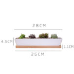 Tucor | Set - ZenQ Designs