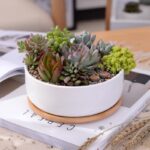 Minimalist White Ceramic Planter - ZenQ Designs