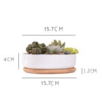 Minimalist White Ceramic Planter - ZenQ Designs