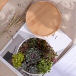 Minimalist White Ceramic Planter - ZenQ Designs