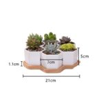 Solygiro | Set - ZenQ Designs