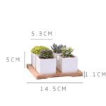 Quess | Set - ZenQ Designs