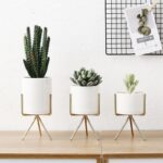 Fialuon | Set - ZenQ Designs