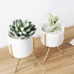 Fialuon | Set - ZenQ Designs