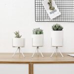 Fialuon | Set - ZenQ Designs