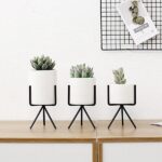 Fialuon | Set - ZenQ Designs