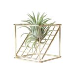 Rustic Geometrical Grid Air Plant Receptacle - ZenQ Designs