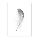 Minimalist Feather & Dandelion | Canvas - ZenQ Designs