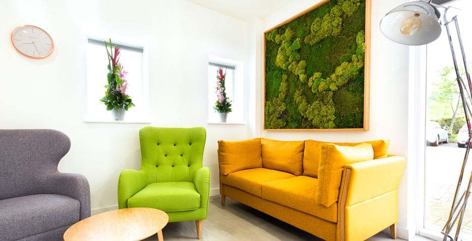 A green moss wall decoration above a yellow sofa I ZenQ