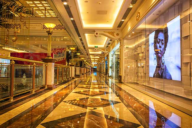 Long showcase with lighting - ZenQ Designs