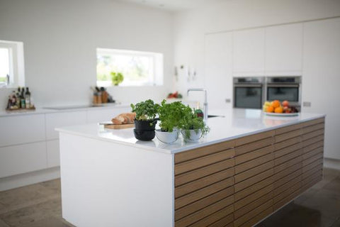 green leafed plants on kitchen island 1358900 grande 085e6032 43b4 48d8 81fb - SPICE YOUR KITCHEN UP A BIT